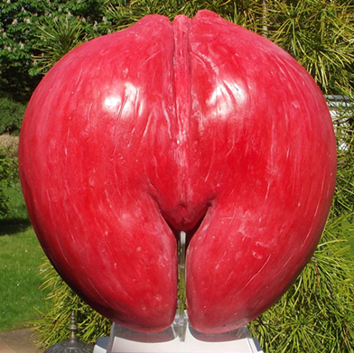 Coco de Mer love red