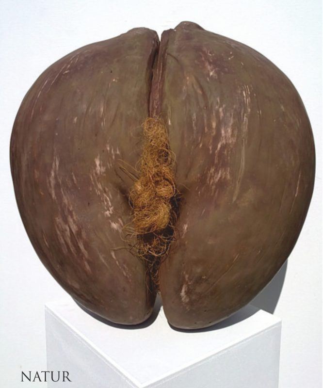 Coco de Mer natur