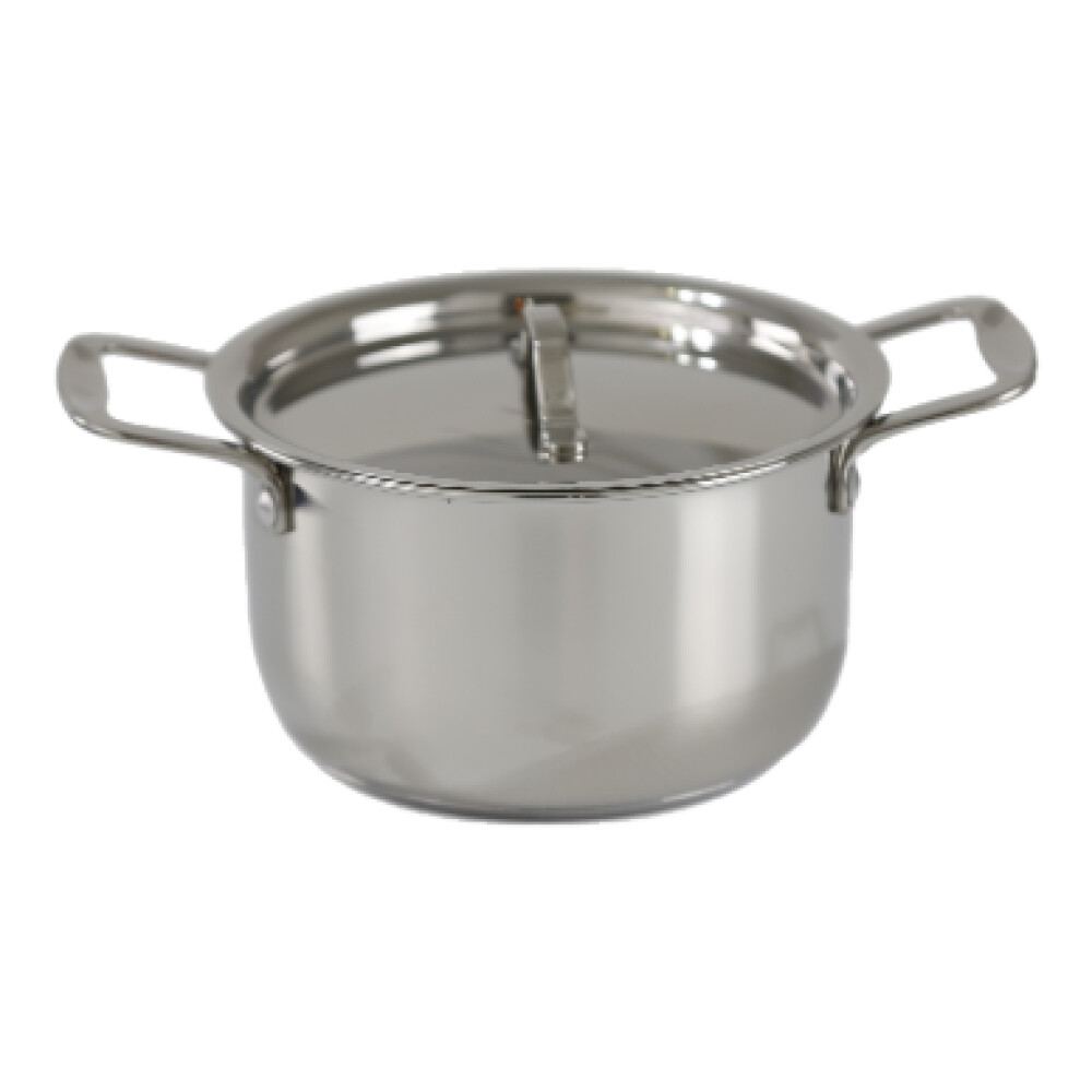 Stainless Steel Queen Sauce Pot with Cover