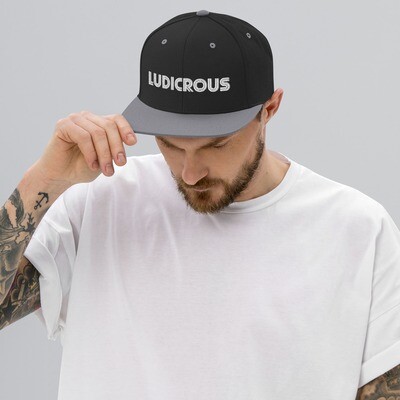 Ludicrous Snapback Hat