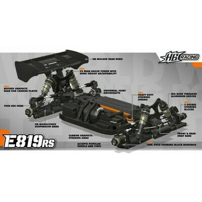 HB Racing E819RS 1/8 Electric Competition Buggy