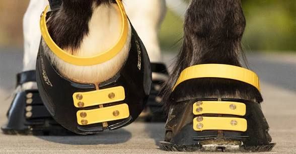 Scoot Boots Slims