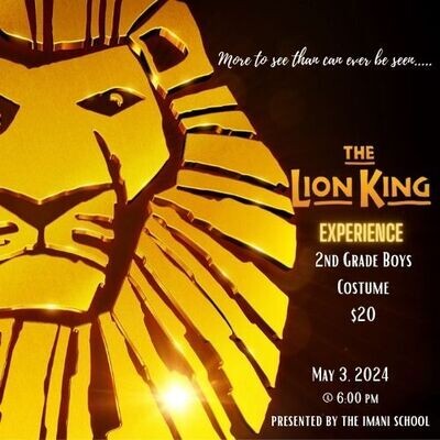 2nd Grade Boys Costume - The Lion King