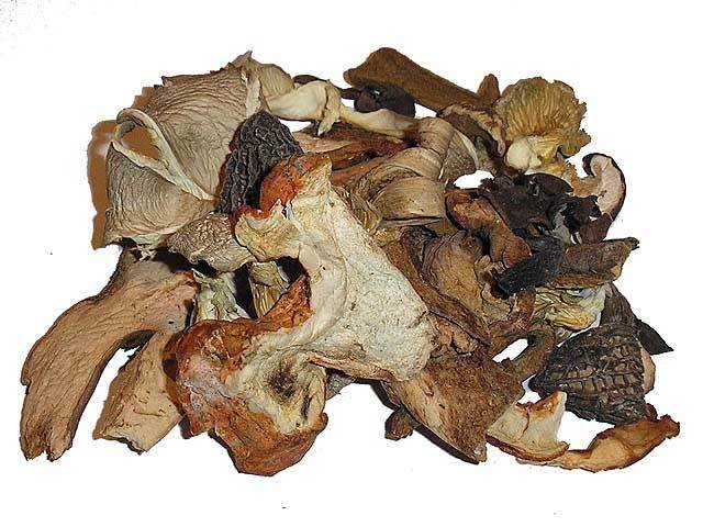 Maine Wild Mix