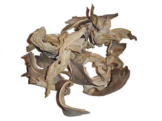 Maitake - 1/4 lb.