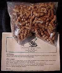 Shiitake Growing Kit