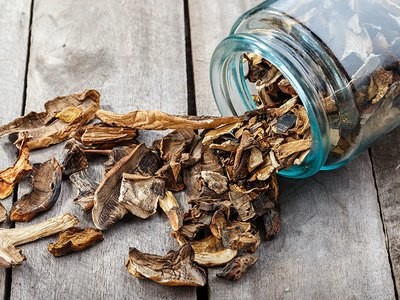 Dried Wild Mushrooms