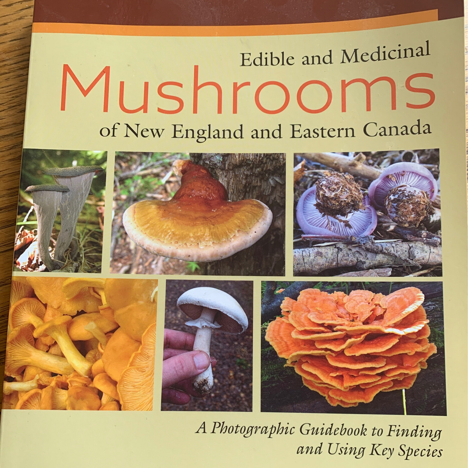 Edible and Medicinal Mushrooms of New England and Eastern Canada by Dave L. Spahr