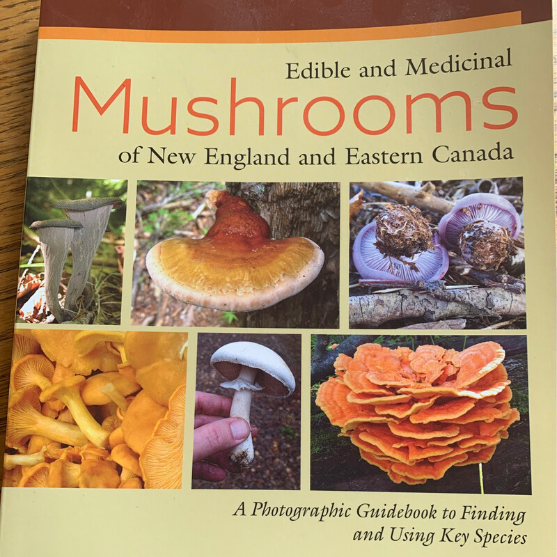 Edible and Medicinal Mushrooms of New England and Eastern Canada by Dave L. Spahr