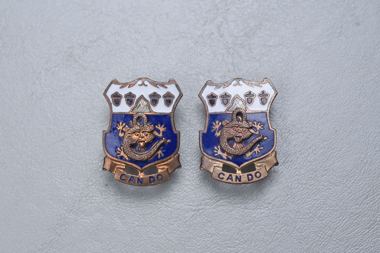 WWII U.S. 3rd INFANTRY DIVISION, 15th REGIMENT DI&#39;S - MATCHED PAIR, SCREW BACK