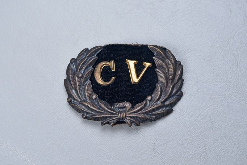 CIVIL WAR CONFEDERATE VETERAN'S CAP INSIGNIA CIVIL WAR CONFEDERATE VETERAN'S CAP INSIGNIA
