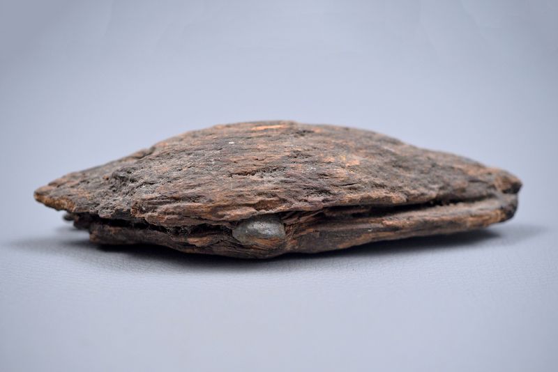 CIVIL WAR .58 CALIBER MINIE BALL IN WOOD