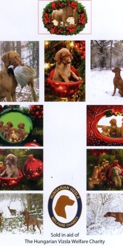 Christmas cards (pack of 10)
