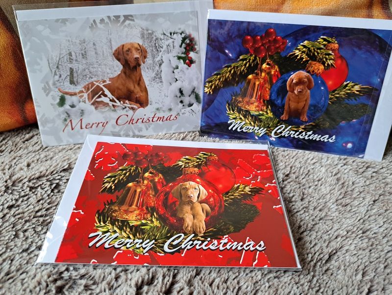 VIZSLA THEMED CHRISTMAS CARDS                                       Free shipping applies to UK postage only