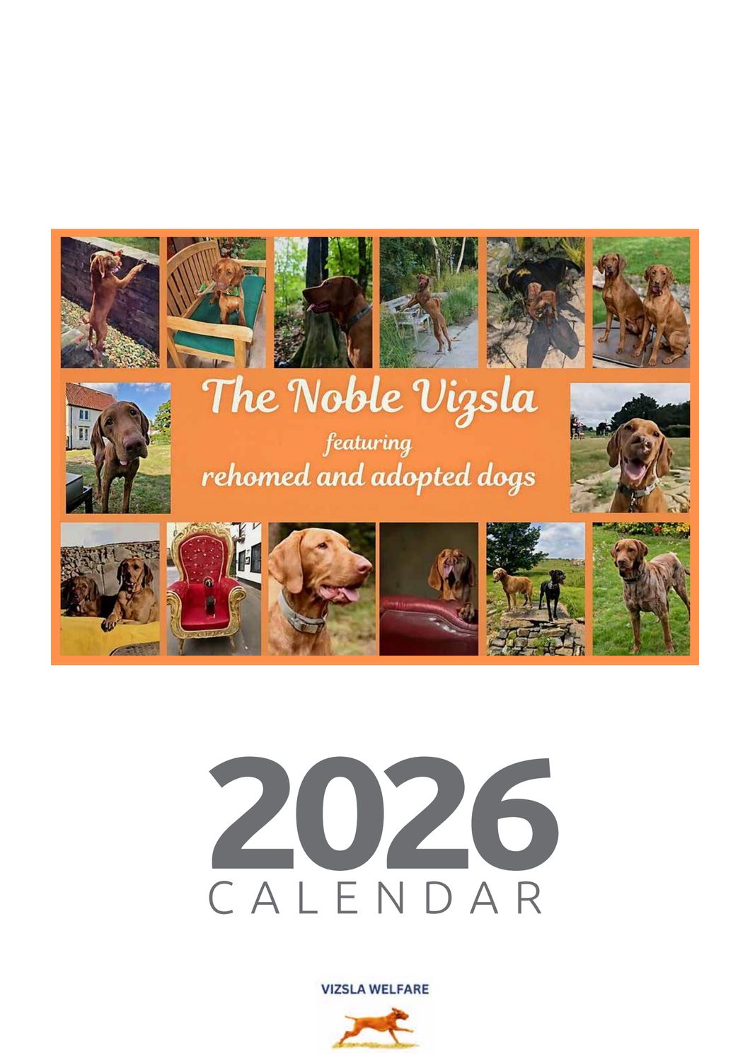 2026 THE NOBLE VIZSLA A4 WALL HANGING CALENDAR. Free shipping applies to UK postage only