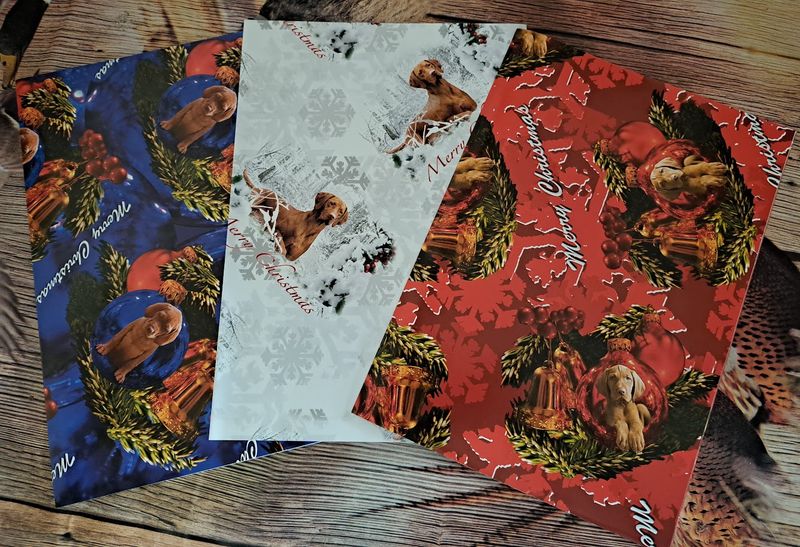 VIZSLA THEMED CHRISTMAS WRAPPING PAPER