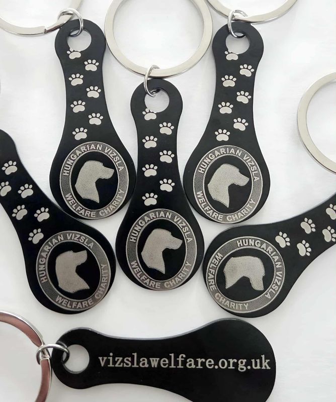 VIZSLA WELFARE TROLLEY COIN