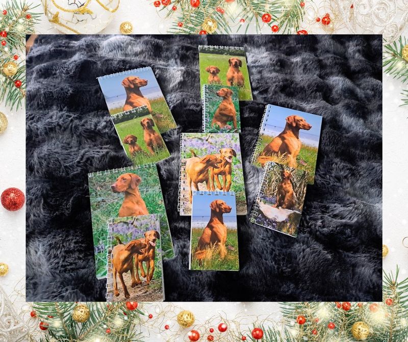 SET OF 2 SPIREL BOUND VIZSLA NOTEBOOKS