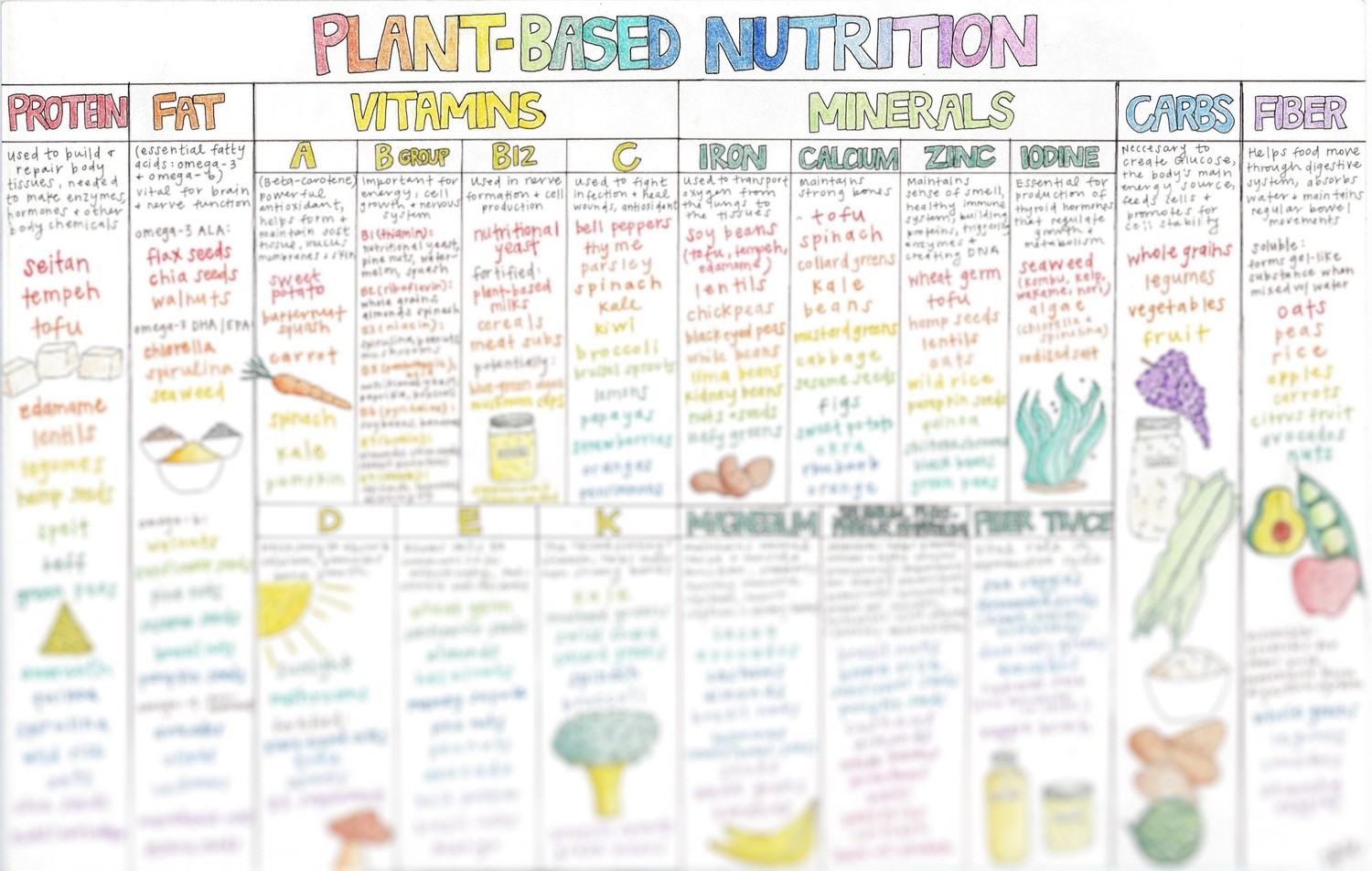 Plant-based Nutrition Chart (PDF)