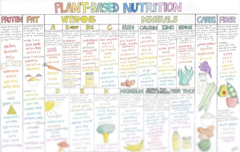 Plant-based Nutrition Chart (PDF)