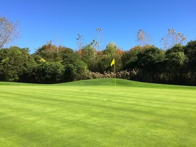 Golf Outing