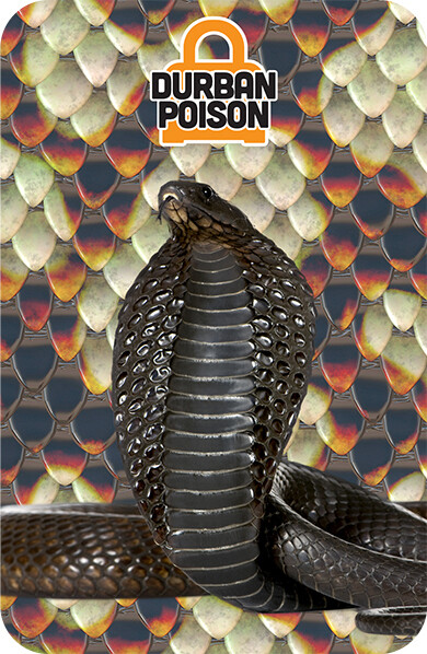 Durban Poison Premium Prerolls 2G - 2Pack