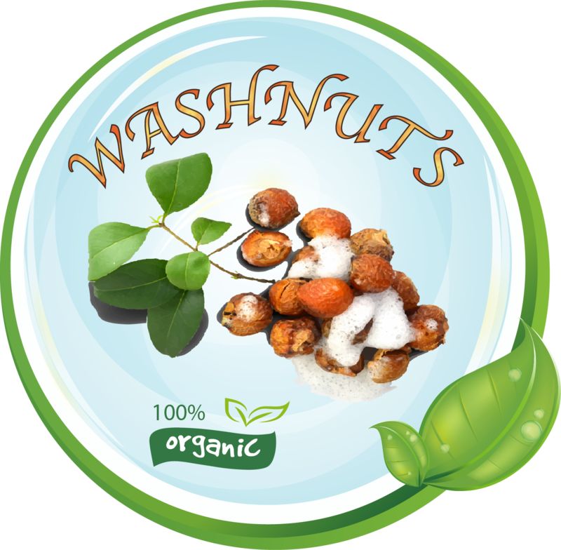 Soap Nuts Kg. 1