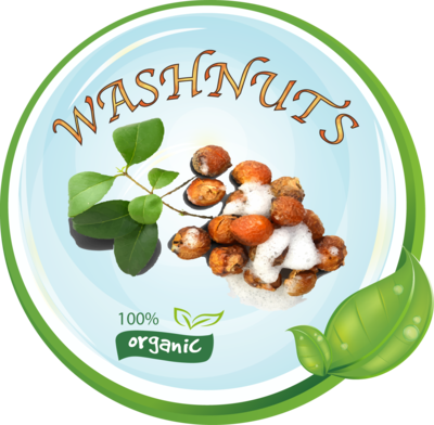 Soap nuts