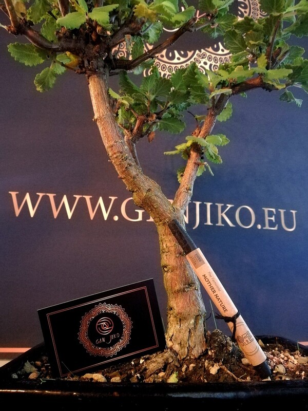 Frankincense Incense Stick 1 single stick