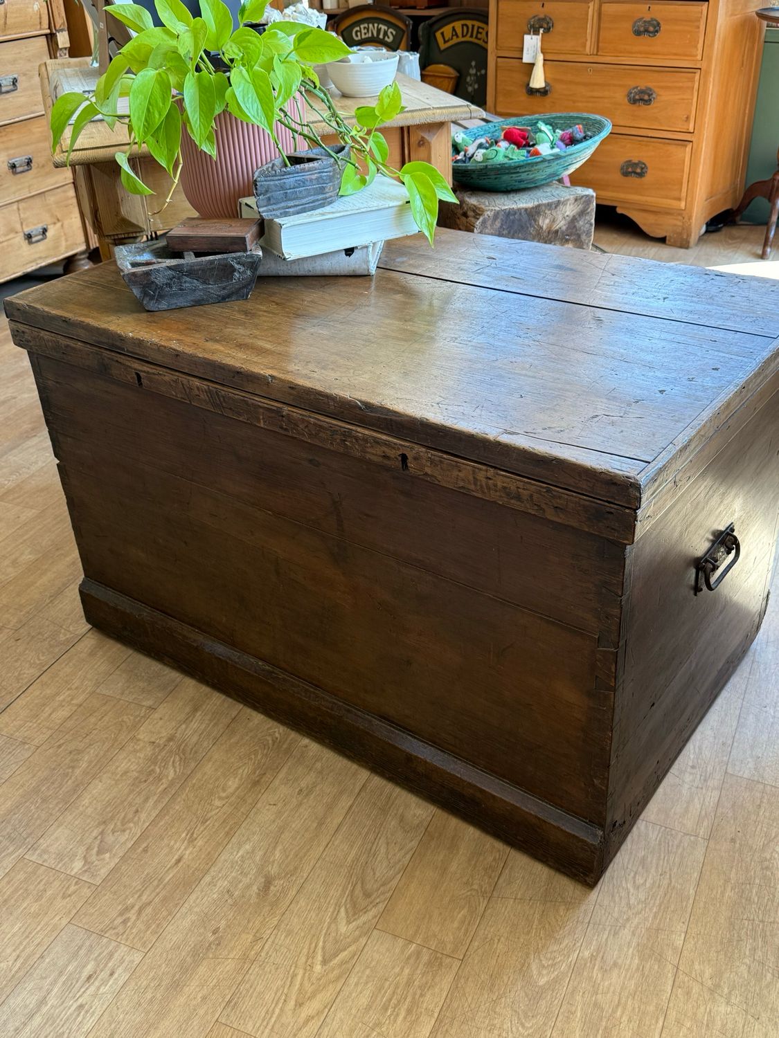 Antique Pine Trunk / Chest