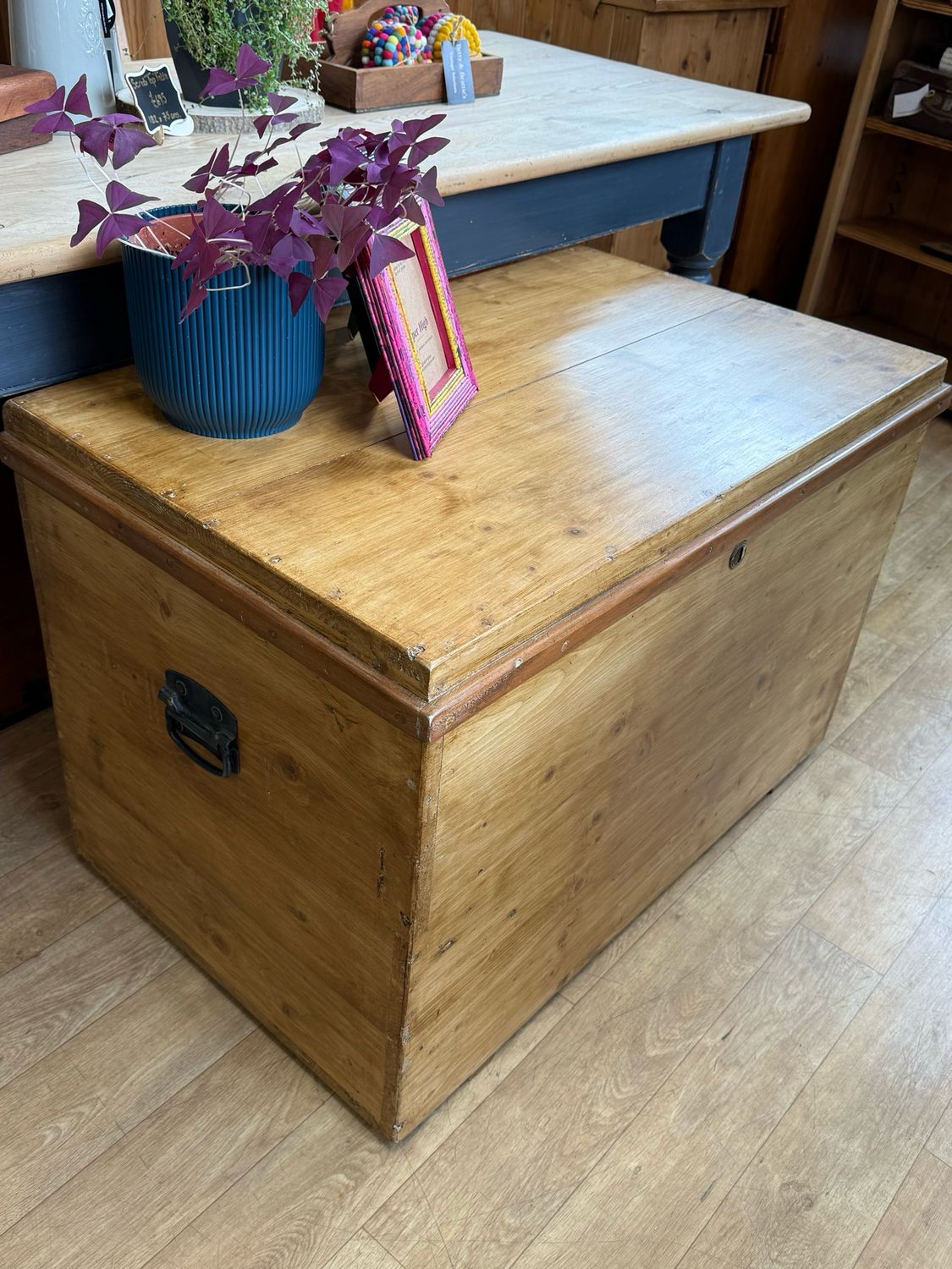 Antique Pine Trunk / Storage Box / Coffee Table