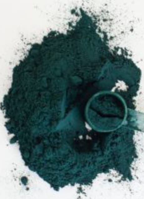 Spirulina Algen (Pulver)