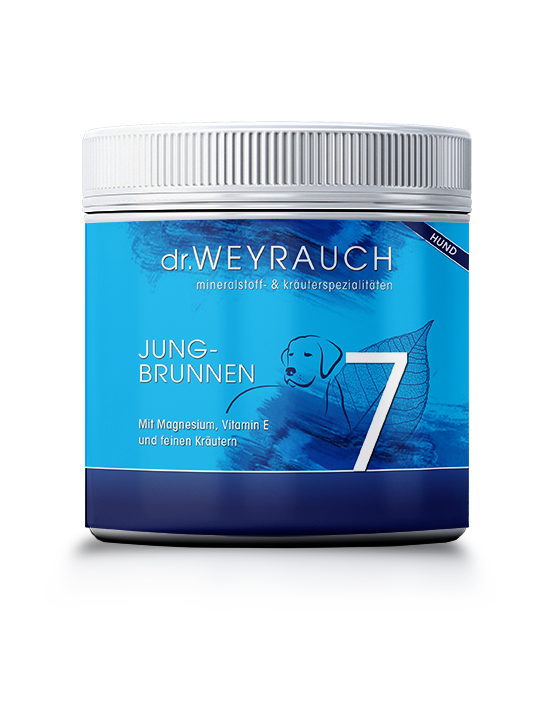 dr. WEYRAUCH Nr. 7 Jungbrunnen