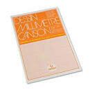 CANSON A4 SEMI-LOG DESSIN DRAWING PAPER 90GRM 2957-101