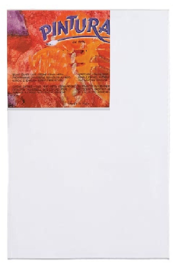 PINTURA 20X50CM CANVAS FRAME