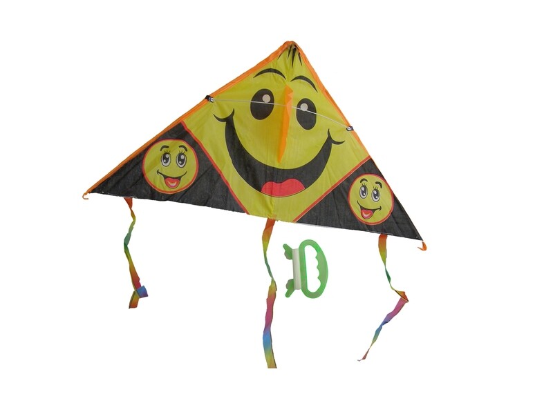 RSC 80CM PVC KITE D19-375