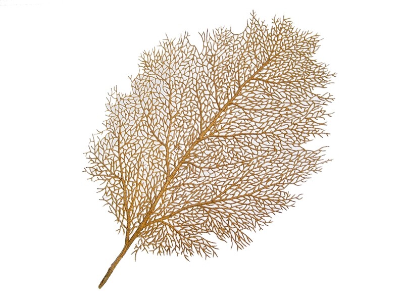 RSC 22CM TABLE MAT &quot;LEAF DESIGN&quot; GOLD C19-133
