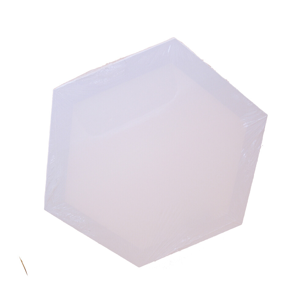 RSC 40X40CM HEXAGON CANVAS D19-151