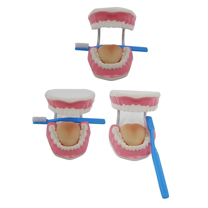 RSC DENTAL SET W/TOOTH BRUSH P18-085