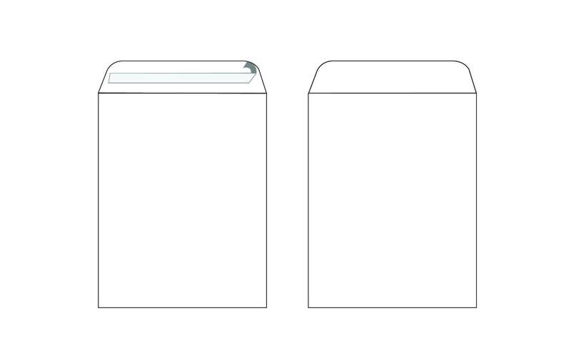 ENVELORD 9X6.3&quot; WHITE ENVELOPE 100GSM (1X50) LION