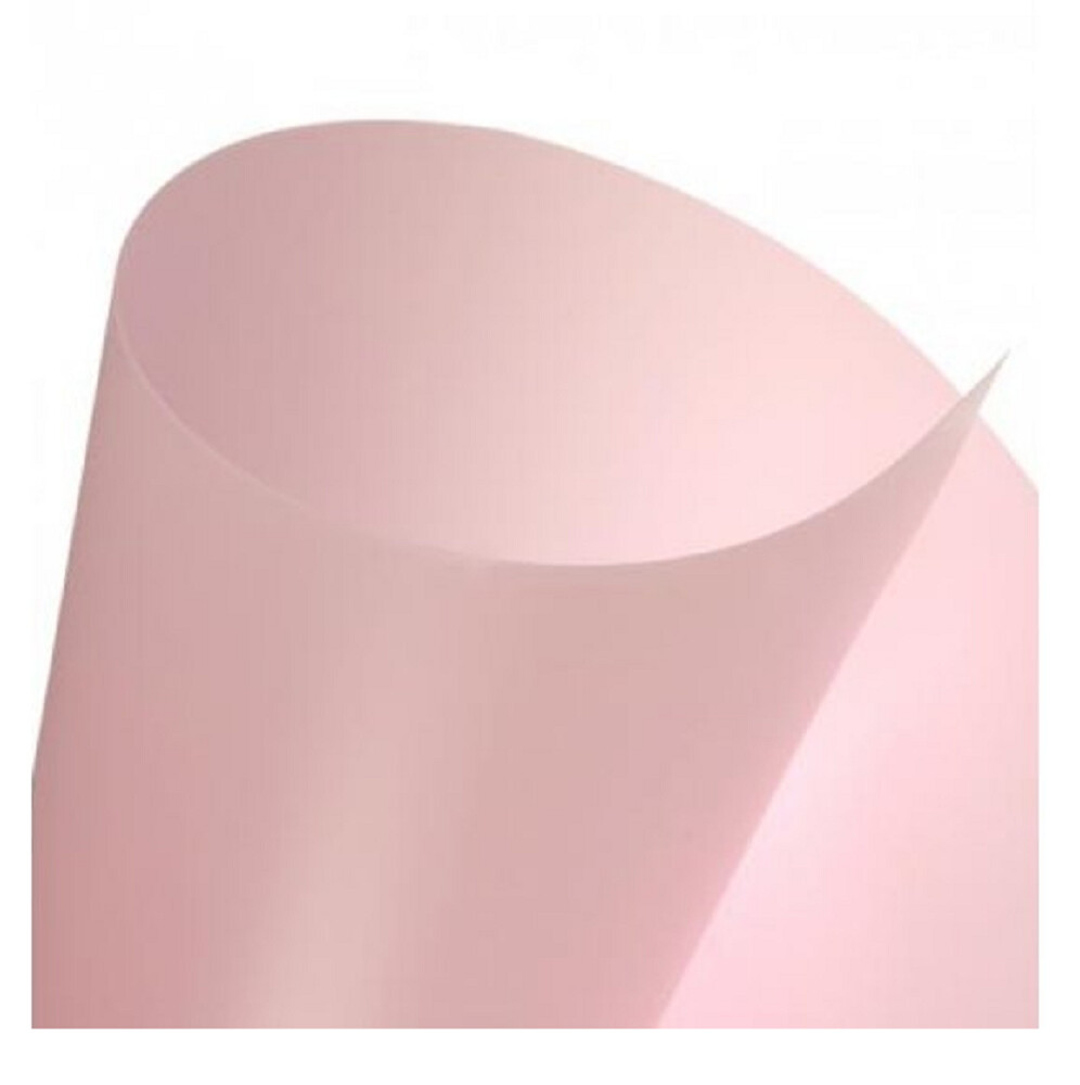 CANSON 50X70CM HOME DECORATION PP PAPER 455GRM
