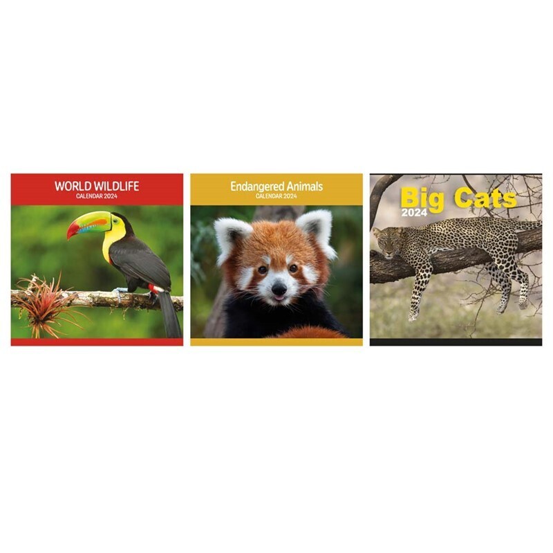TALLON CALENDER SQUARE
CAT &amp; ANIMAL 0563/48/FSC
