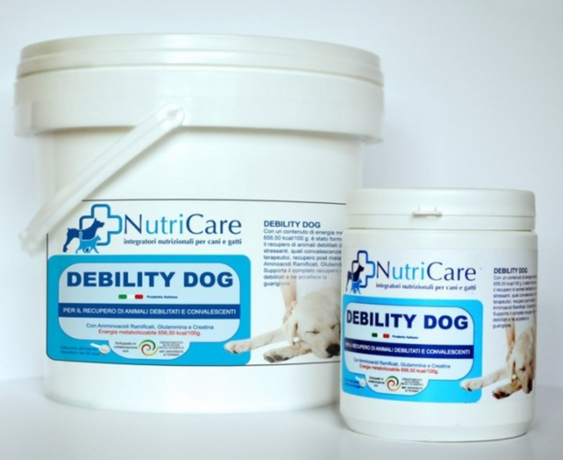 Debility Dog gr. 500