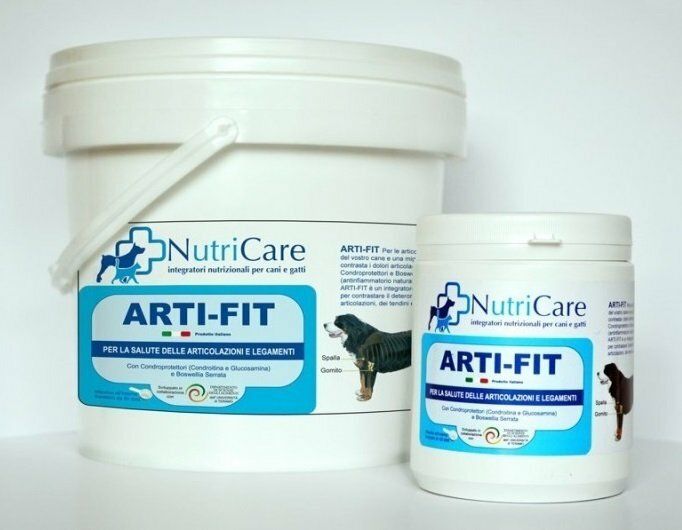 ARTI-FIT