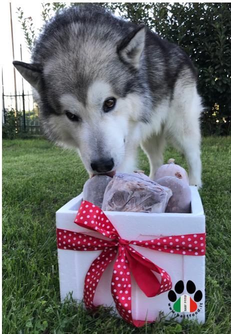 Barf Box Medium Kg. 12 Barf Box Medium Kg. 12