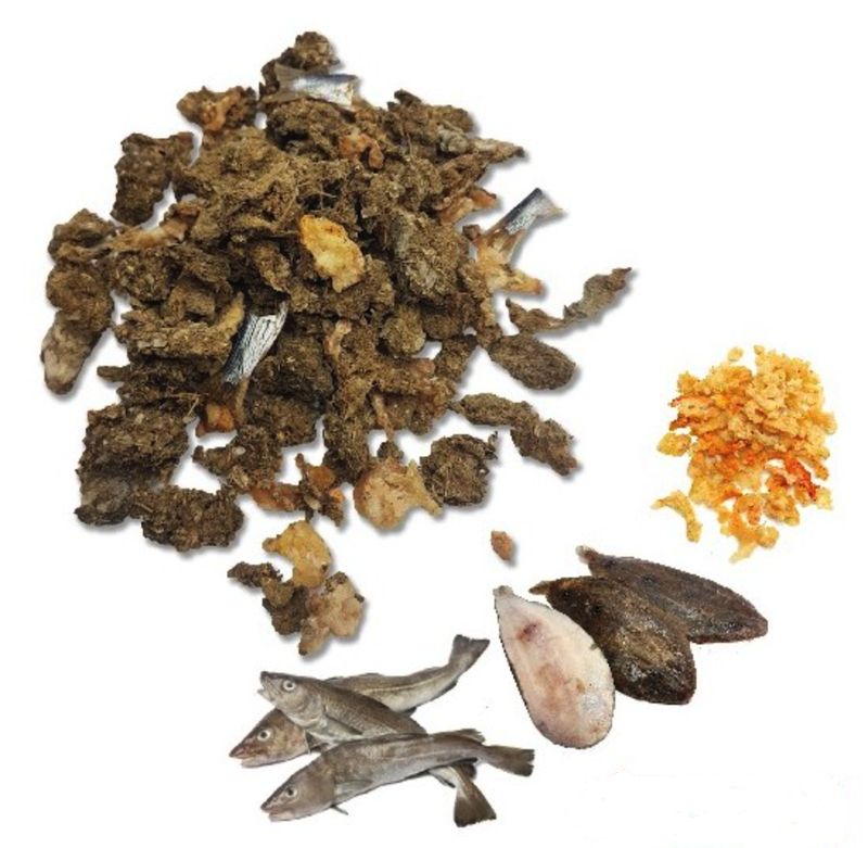 Barf Easy Dry Fish gr. 250