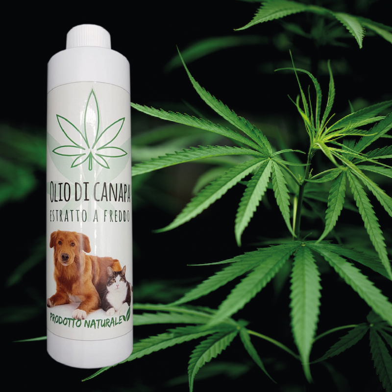 Olio di Canapa 250 ml