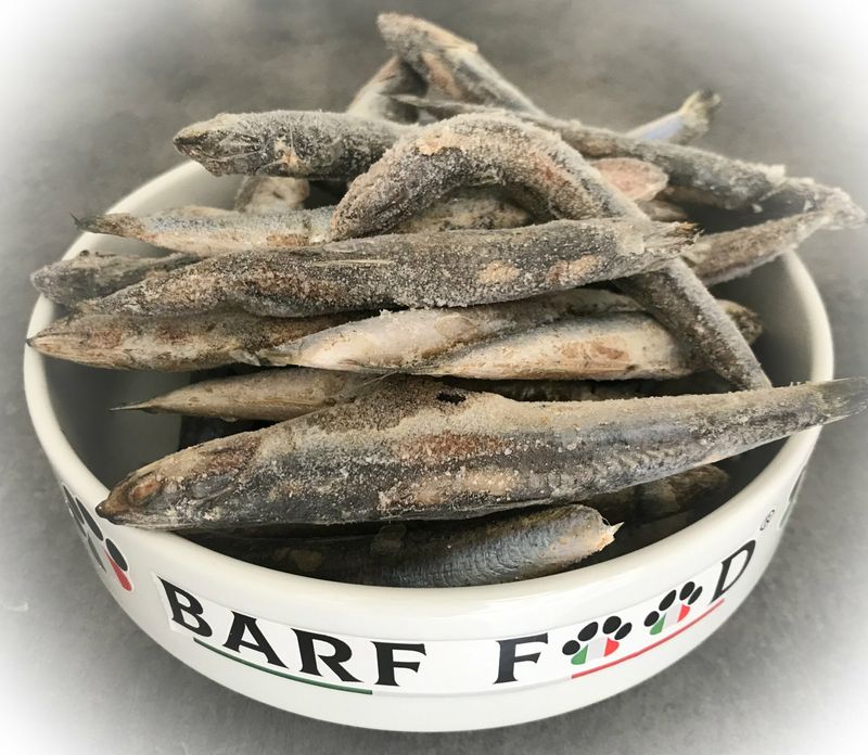 Sarde intere gr. 500