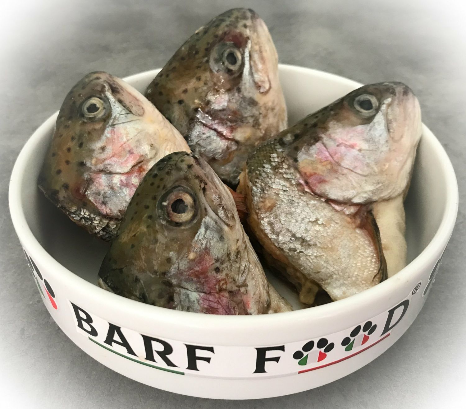 Teste di trota salmonata
