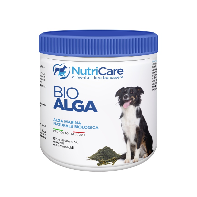 Bio Alga kg 3